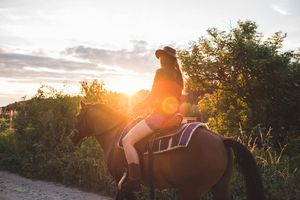 Život na volné noze – červen 2015 – profesionální fotograf, teď už doopravdy